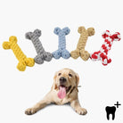 Colorful dog chew toys in bone shapes with a happy Labrador puppy. Durable, rope material ideal for dental health and interactive play.