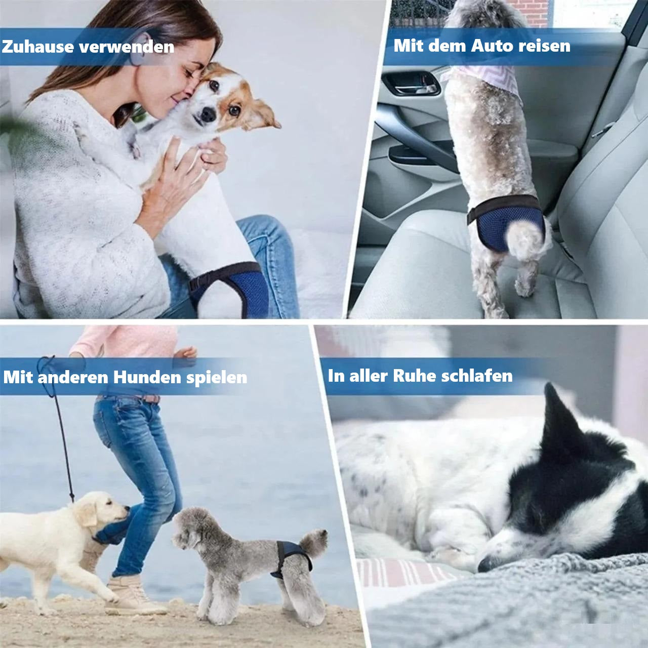 Collage of dogs in various activities: cuddling at home, traveling by car, playing with other dogs, and sleeping peacefully. Perfect for pet lifestyle content.