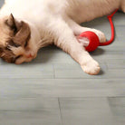 Cat playing with a red interactive toy on wooden floor, showcasing pet entertainment, feline playtime, and cat toys for indoor activity.