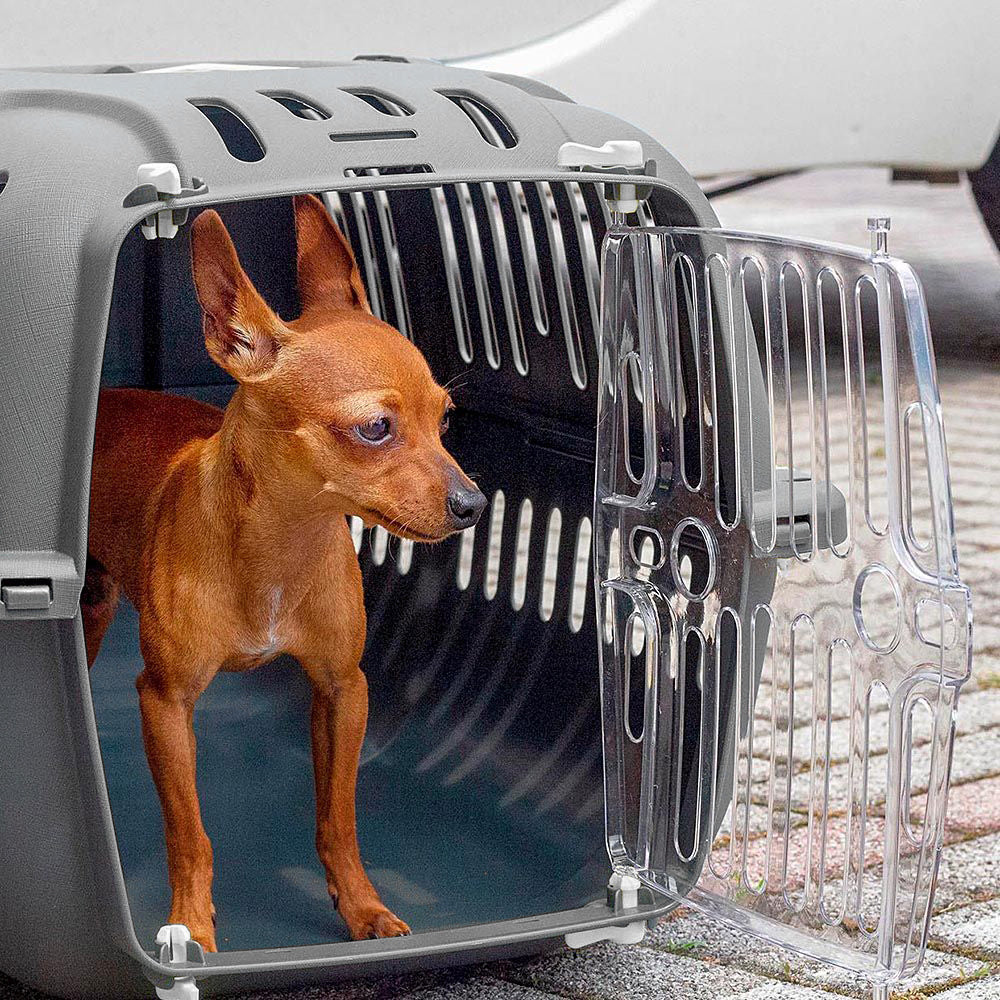 Small brown dog inside a gray plastic pet carrier with a transparent door, ideal for safe pet travel and transport.