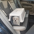 Small white dog in a pet carrier on a car seat, showcasing safe pet travel. Ideal for pet transport, dog safety, and car travel with pets.