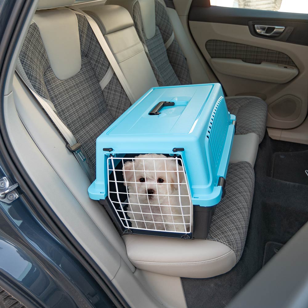 Small white dog in a blue pet carrier on a car seat, safe travel for pets, portable dog crate, secure pet transport, car interior, travel essentials.