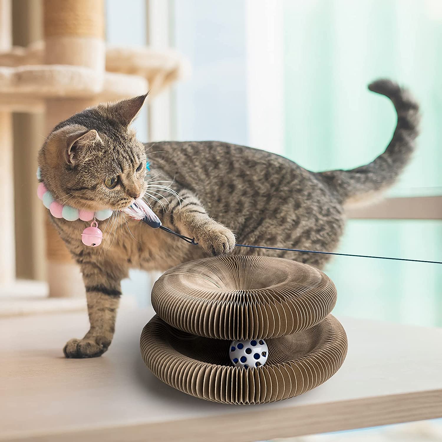 Tabby cat playing with interactive toy, featuring a circular cardboard scratcher and ball. Perfect pet activity for indoor cats.