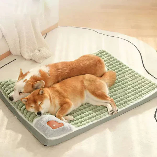 Two dogs sleeping on a green orthopedic pet bed, featuring a soft, quilted surface. Ideal for pet comfort and joint support. Cozy home setting.