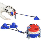 Dalmatian puppy playing with a durable red and blue interactive chew toy featuring a suction cup and rope, ideal for pet dental health and teething.