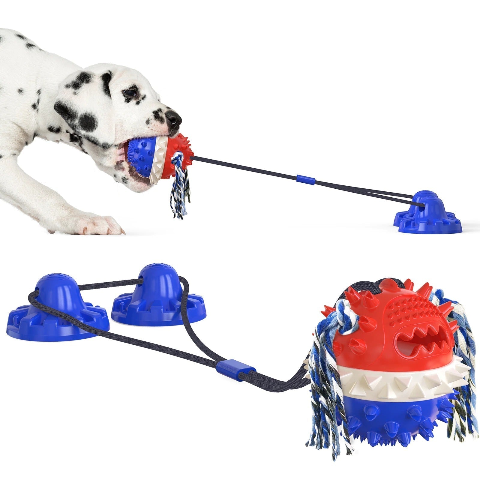 Dalmatian puppy playing with a durable red and blue interactive chew toy featuring a suction cup and rope, ideal for pet dental health and teething.