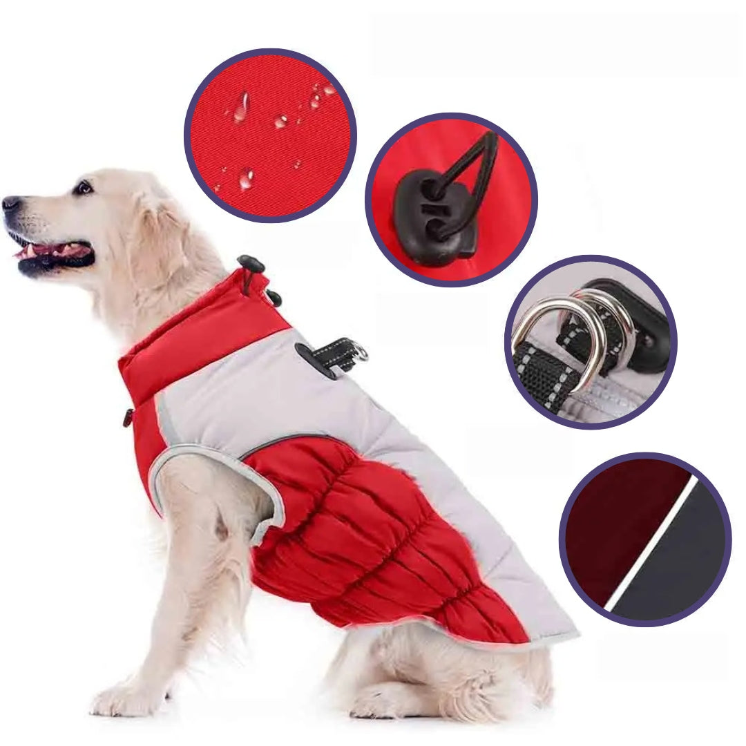 Golden Retriever wearing a red and gray waterproof dog jacket with adjustable straps, reflective trim, and leash attachment; ideal for outdoor activities.