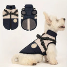 Dog wearing a stylish navy and beige harness jacket, featuring adjustable straps and a secure fit. Ideal for small to medium-sized pets.