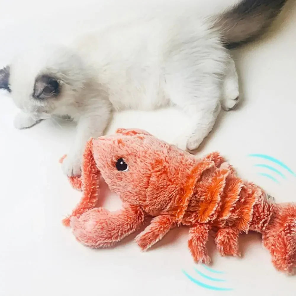 Fluffy white kitten playing with a realistic, moving plush lobster toy on a white background. Interactive pet toy, cat entertainment, lifelike design.