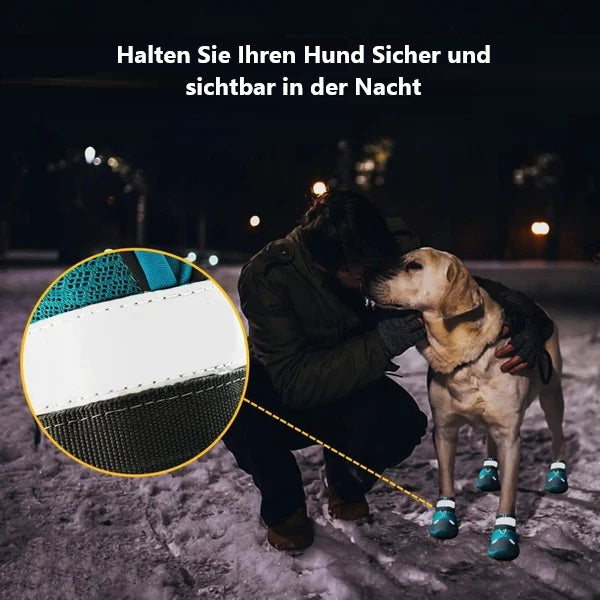 Man with Labrador wearing reflective dog boots at night, ensuring safety and visibility. Nighttime pet safety gear, reflective dog accessories.