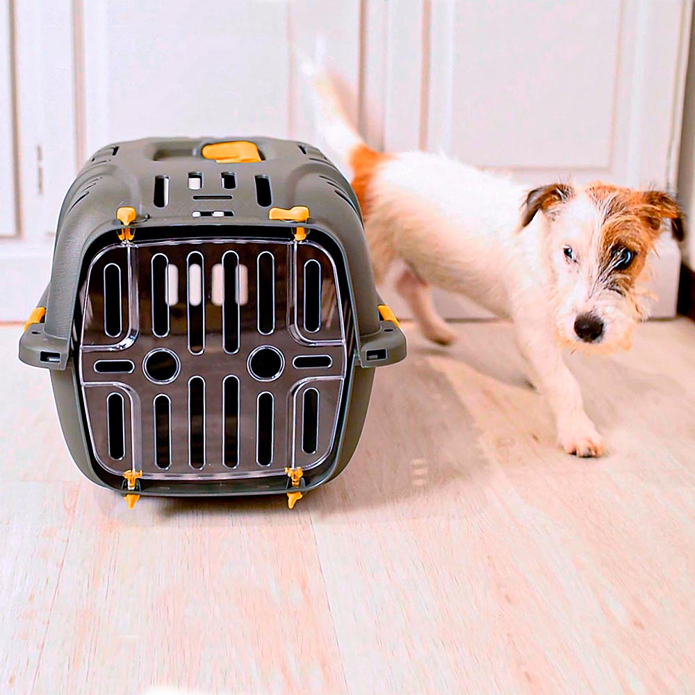 Small dog near a gray pet carrier with yellow accents on a wooden floor, ideal for travel and pet safety.