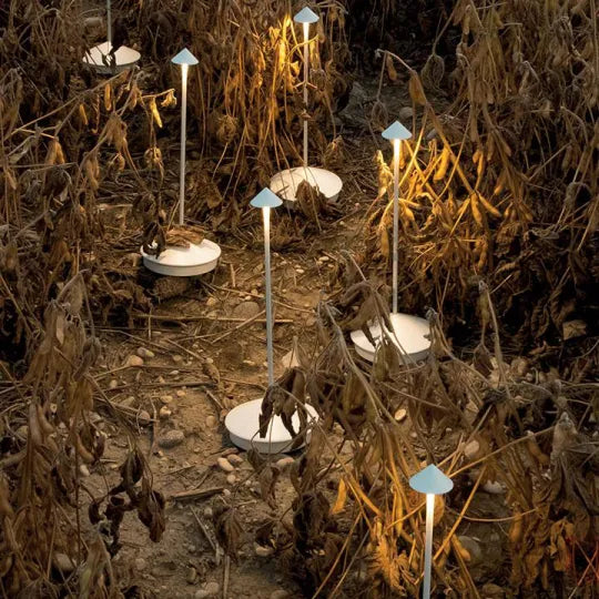 Modern outdoor garden lights illuminating a path through dry plants, featuring sleek white bases and blue-topped poles. Ideal for landscape lighting.