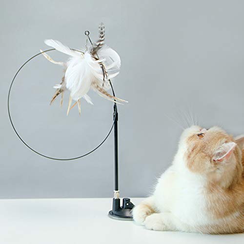 Cat playing with interactive feather toy on stand, featuring a circular wire design. Perfect for pet entertainment and exercise.