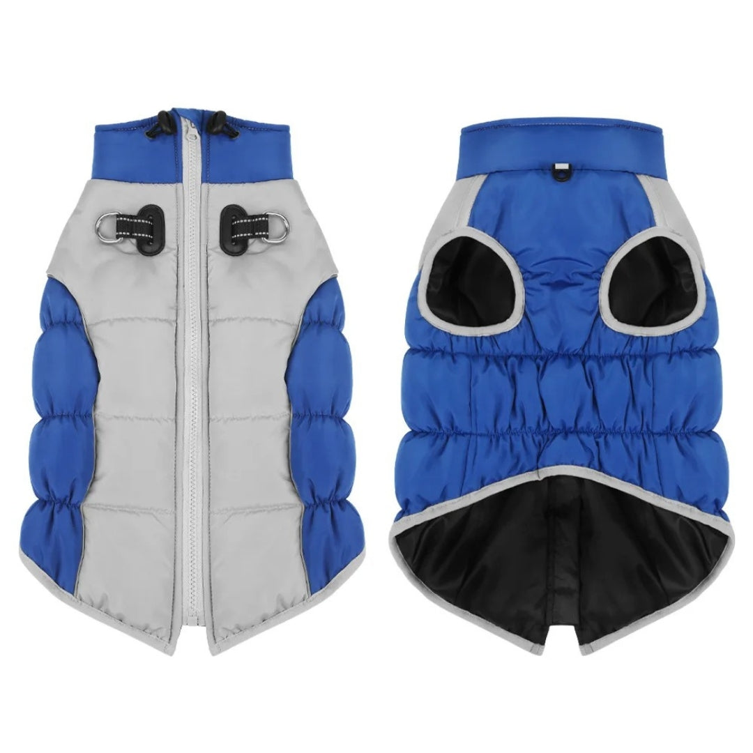 Blue and gray dog winter coat with zipper and adjustable toggles, featuring a padded design for warmth and comfort. Ideal pet apparel for cold weather.