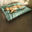 Golden Retriever sleeping on a large, comfortable orthopedic dog bed with a teal cushion, ideal for pet relaxation and joint support.