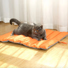Gray cat on orange foldable waterproof outdoor pet mat, sunlight streaming through window.