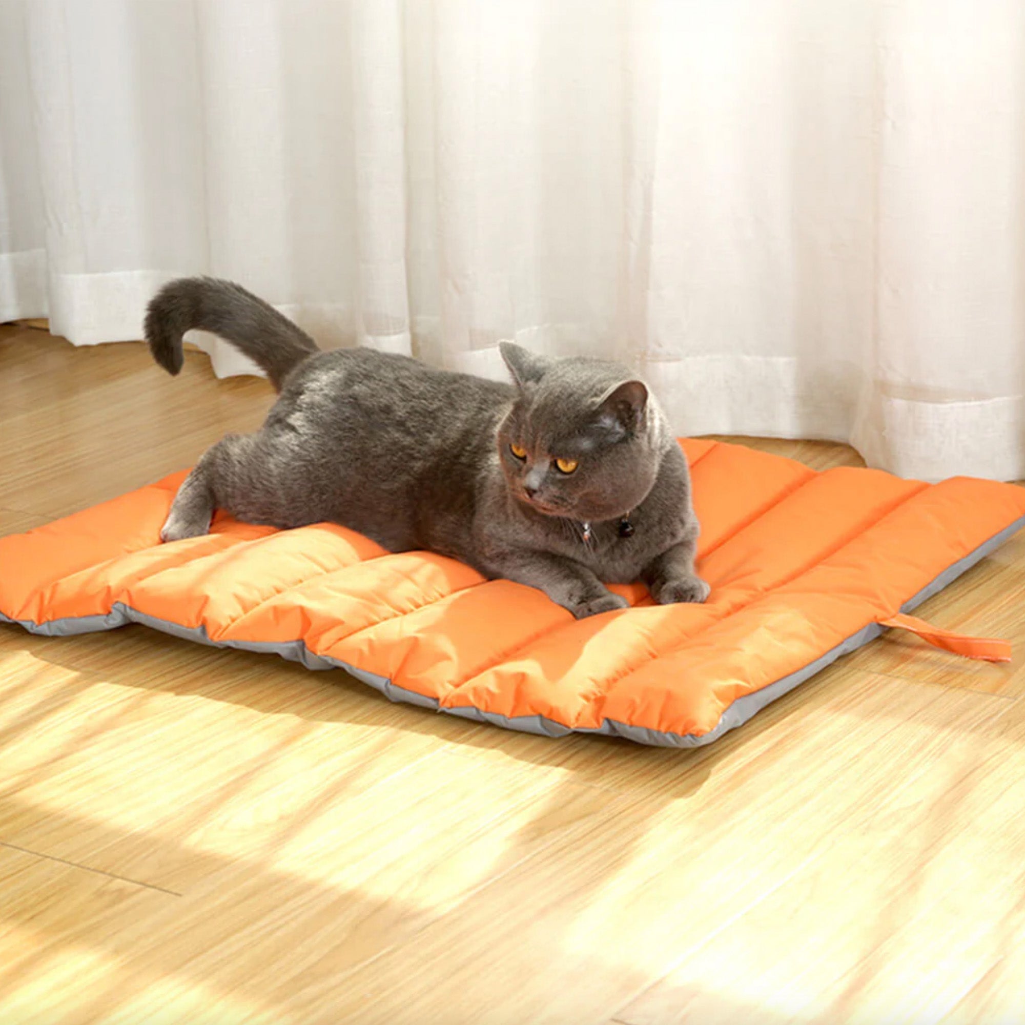 Gray cat on orange foldable waterproof outdoor pet mat, sunlight streaming through window.