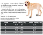 Golden Retriever puppy standing on white background with German shoe size chart for dogs, featuring paw width and length measurements in inches.