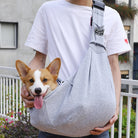 Man carrying happy Corgi in a gray pet sling carrier outdoors. Dog carrier, pet travel accessory, comfortable sling for small dogs, urban setting.