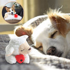 Sleeping dog cuddling a plush toy with a red heart, promoting pet comfort and relaxation. Ideal for pet owners seeking calming dog toys.