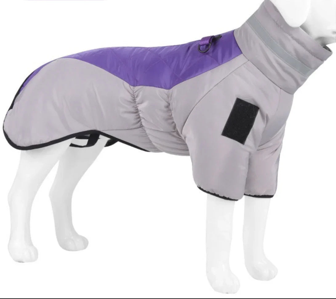 Gray and purple waterproof dog coat, insulated winter pet jacket, adjustable fit.