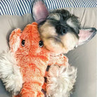 Cute puppy cuddling with an orange plush toy on a pillow; adorable dog with stuffed animal, cozy pet scene, fluffy companion, heartwarming moment.