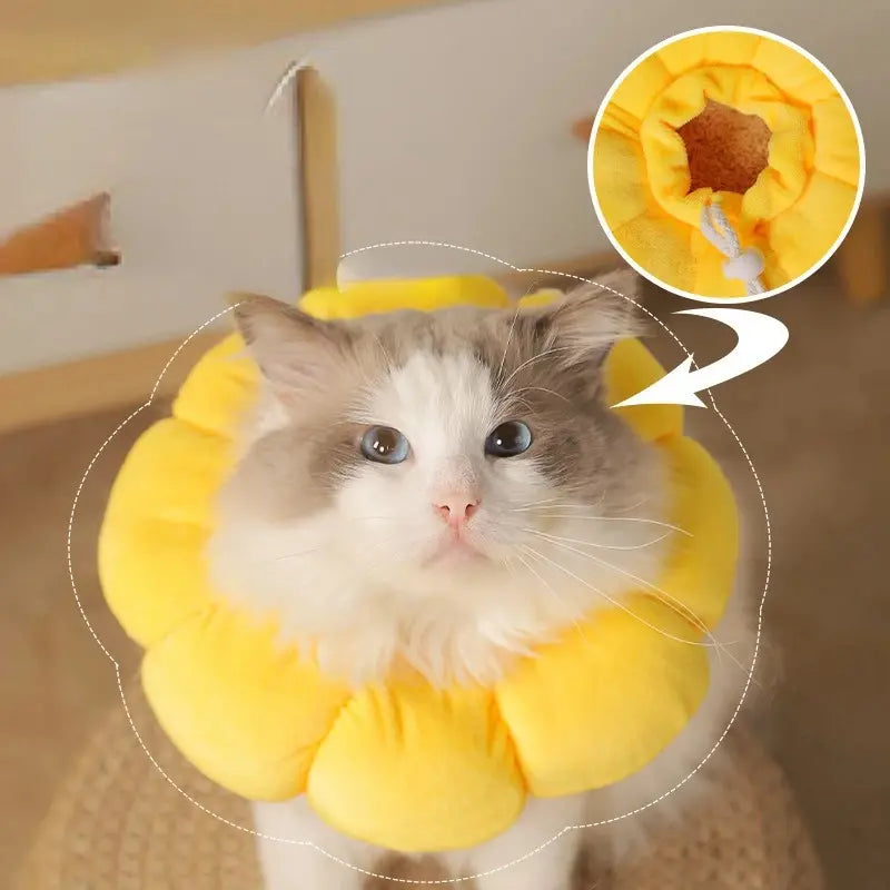 Fluffy cat wearing a yellow sunflower-shaped pet recovery collar, ideal for post-surgery comfort. Cute pet accessory for cats, soft and protective.