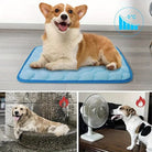 Corgi on cooling mat indoors, dog cooling solutions, pet heat relief, summer pet care, temperature control for dogs, pet cooling products.