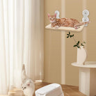 Wall-mounted cat shelf with a ginger tabby lounging, modern pet furniture, space-saving cat perch, home decor for cat lovers, beige cushion.