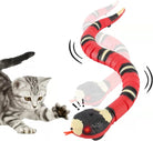 Toy snake with red, black, and yellow stripes, featuring LED eyes and a moving tongue, being approached by a curious gray tabby kitten.