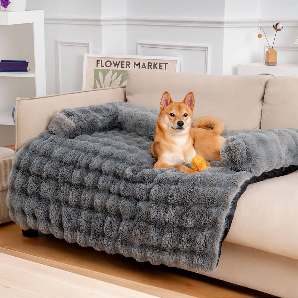 Shiba Inu dog lounging on a plush, gray pet bed on a beige sofa in a cozy living room setting, with a "Flower Market" sign in the background.