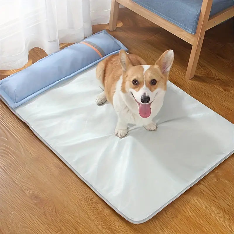 Corgi sitting on a cooling mat with pillow, wooden floor background. Pet cooling mat, dog bed, summer pet accessory, home decor.