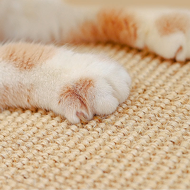 Close-up of a cat's paw on a textured beige mat, showcasing soft fur and claws. Perfect for pet care, feline grooming, and cat accessories content.