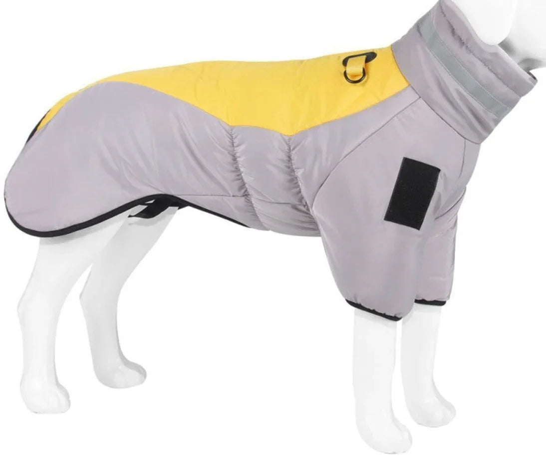 Dog winter coat, gray and yellow, waterproof, insulated, adjustable fit, reflective safety features.