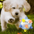 Playful puppy with fluffy white fur chasing a colorful interactive dog toy ball on green grass. Pet toys, puppy playtime, outdoor fun.