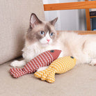 Fluffy Ragdoll cat lounging on a beige sofa with two plush fish toys, one red and one yellow. Perfect pet accessories for playful cats.