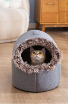 Cute cat peeking from cozy gray pet bed with faux fur trim, wooden furniture background. Perfect for pet lovers, home decor, cat accessories.