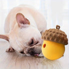 French Bulldog playing with acorn-shaped dog toy on wooden floor, interactive pet toy, durable chew toy for dogs, fun pet accessory.