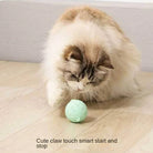 Fluffy cat playing with interactive green ball toy on wooden floor, showcasing smart start-stop feature. Perfect pet entertainment.