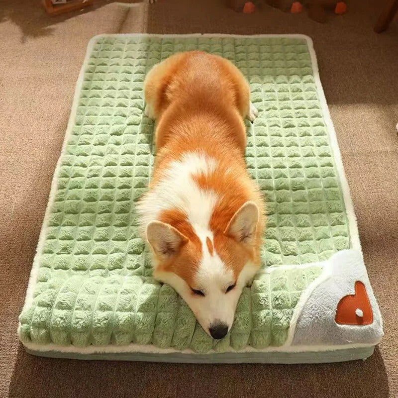 Corgi dog resting on a soft, green waffle-textured pet bed with a heart design, showcasing cozy pet bedding for small to medium-sized dogs.