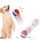 Golden retriever puppy playing with interactive red and blue spiky ball toy, designed for pet entertainment and exercise, on a white background.