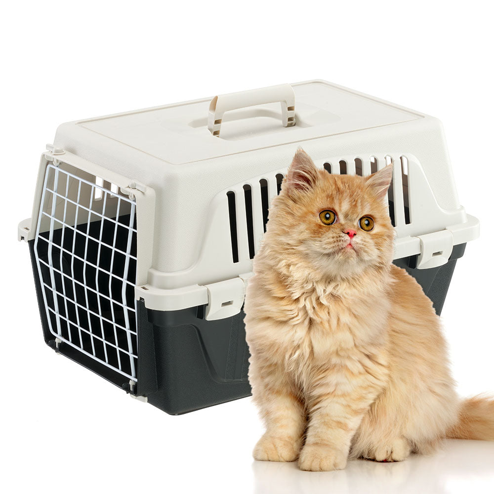 Fluffy orange Persian cat sitting beside a white and gray pet carrier. Ideal for pet travel, cat transport, and portable pet housing solutions.