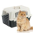 Fluffy orange Persian cat sitting beside a white and gray pet carrier. Ideal for pet travel, cat transport, and portable pet housing solutions.