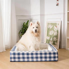 Fluffy white dog sitting in a blue checkered pet bed in a cozy room with floral artwork and a plant. Ideal for pet comfort and home decor.