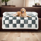 Golden Retriever on a plush, checkered pet sofa cover in a cozy living room. Dog furniture protector, stylish home decor, pet-friendly couch cover.