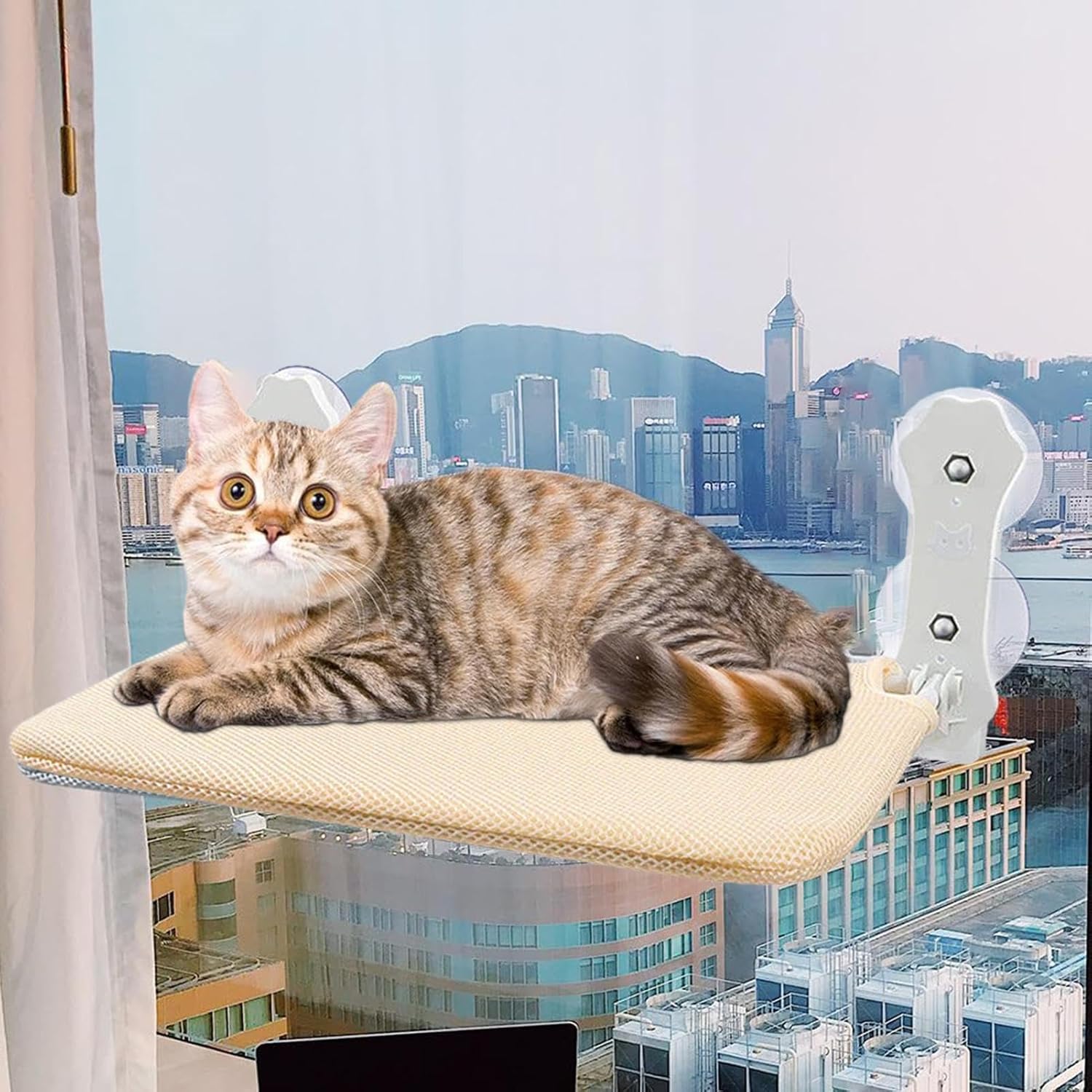 Cat lounging on a beige window-mounted perch with city skyline view; sturdy suction cups; perfect for indoor cats; pet furniture; space-saving design.