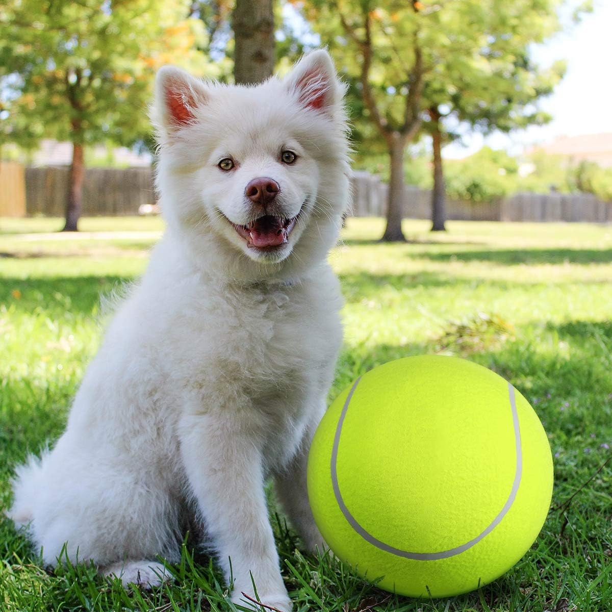 Fluffy white puppy sitting on grass next to a large yellow tennis ball in a sunny park, showcasing playful pet and outdoor activity.