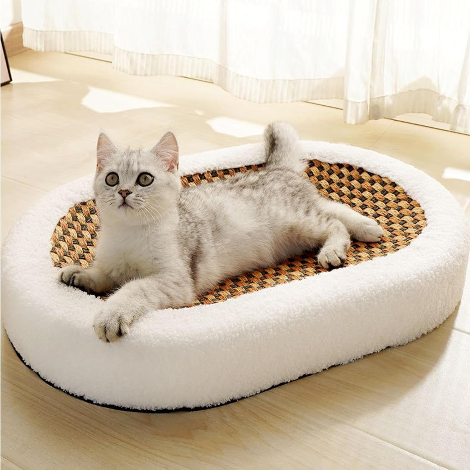 Cat lounging on a cozy, oval-shaped pet bed with a woven center, placed on a sunlit wooden floor. Perfect for pet comfort and relaxation.