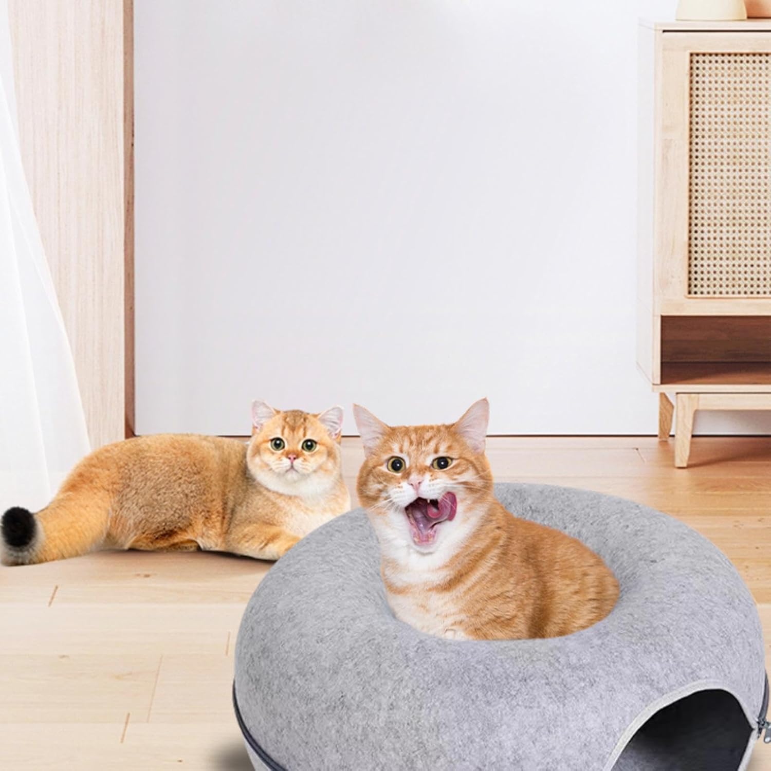 Two cats in a modern living room; one lounging on the floor, the other sitting in a cozy, gray felt cat bed. Perfect pet furniture for comfort.