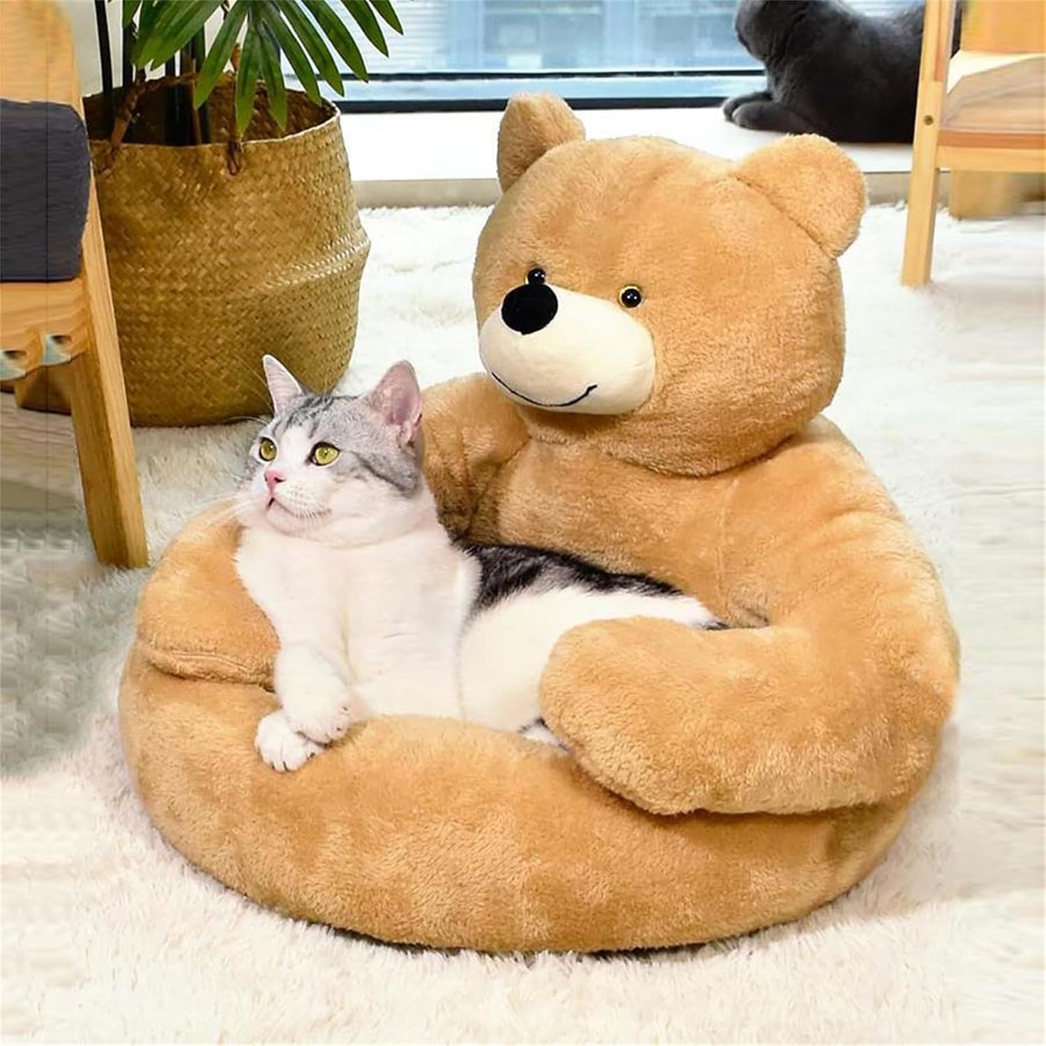 Plush teddy bear pet bed with a cozy cat lounging inside, set on a soft white carpet. Perfect for pet comfort and home decor.